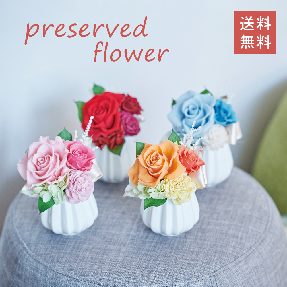 コロンとしたフォルムが可愛いプリザーブドアレンジ（全４色）