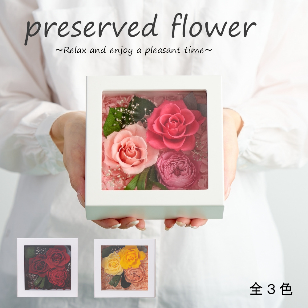 アレンジボックスフレーム（全３色）