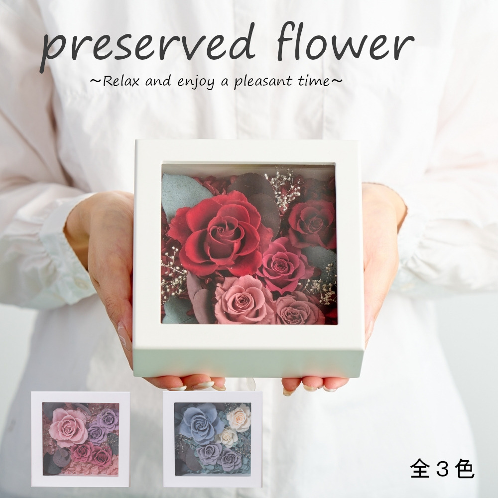 アレンジボックスフレーム（全３色）