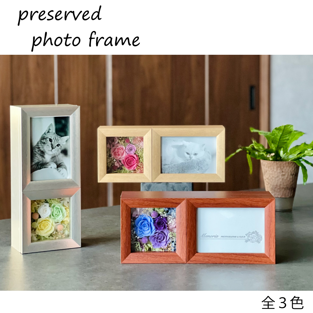 プリザーブドフラワー フォトフレーム（全３色）